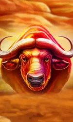 Buffalo Hold and Win Extreme
